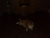kater2.jpg