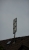 Antenne in Rorschach.jpg