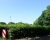 scholzplatz-01.jpg