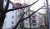 DSC00488.JPG