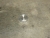 Kappe_01_4506.JPG