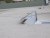 DSCN0016.jpg