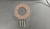 mini-20240319_195339.jpg